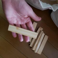 カプラで遊ぼう 500 kapla wooden blocks