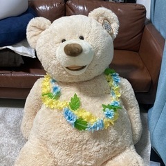 コストコ　クマ