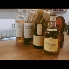 BARでのパフォーマンス&コラボ募集！ - その他