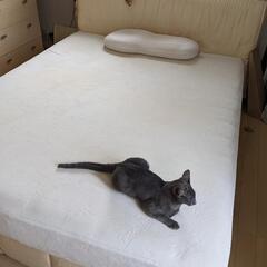 高級クインサイズベッド！の画像