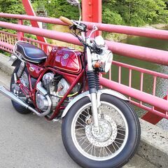 srv250 ヨーロピアン使用