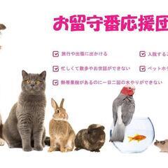 ペットさんのお留守番応援団♪