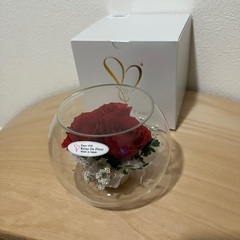 Reine De Fleur  ブリザードフラワー　薔薇×霞草　...