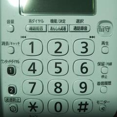 Panasonic VE-GZ21-Wの画像