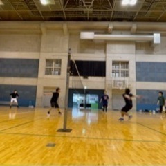 バレーメンバー募集 - スポーツ
