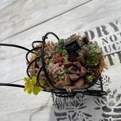 多肉植物寄せ植え　ベビーカーワイヤー