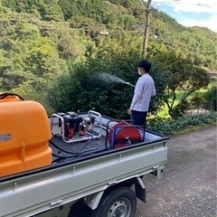 毛虫、チャドクガなど夏になる前の早めの消毒対策！