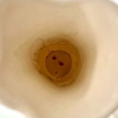 陶製 バラの小さな一輪挿しの画像