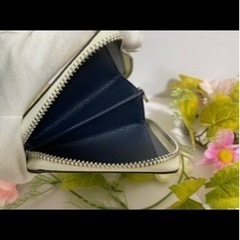 ディズニーシンデレラフライングバードアコーディオン ジップアラウンド チョークマルチ の画像