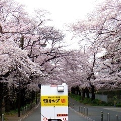 野方ホープキッチンカーのスタッフ募集の画像