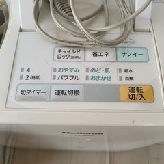 2個セットでいかがですか？の画像