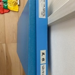 こいのぼり　セットの画像