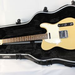 中古、GrassRoots G-TE-50R AB　SKB製ケース付き