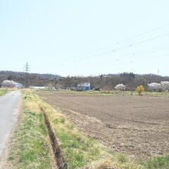 耕作メンバー募集　残り僅かです - 東御市