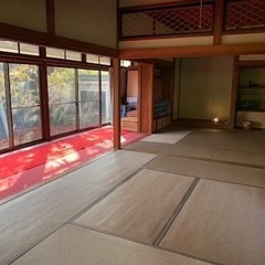 「お寺でヨガ」身体がひらくと視界(心)がひらけるの画像