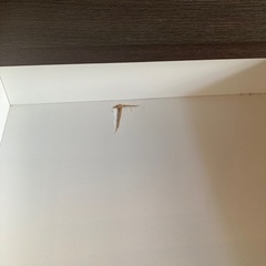 6段のタンスの画像