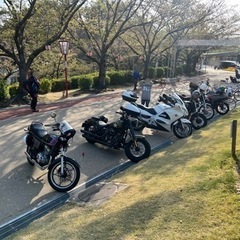 4/17（日）鏡のような湖面に天女の羽衣が…。伝説も桜も感動の余...