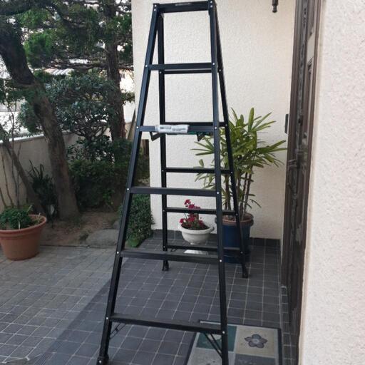 脚立(購入決定済)