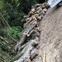 薪になるを木くださいー    種類はなんでも大丈夫です！