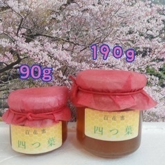 第1期　日本蜜蜂ハチミツ　百花蜜　四つ葉　お試し用90g