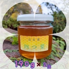 第1期　日本蜜蜂ハチミツ　百花蜜　四つ葉　380g