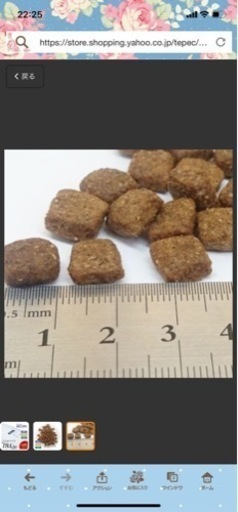 高齢犬(7歳以上)用ドックフード ホリスティックレセピー 18.1kg