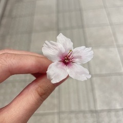 カフェでお茶しませんか？