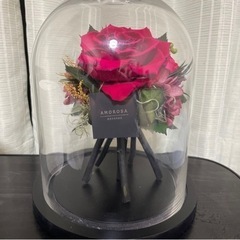 「引き渡し予定者にしました」 AMOROSA MODERNOプリ...
