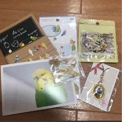 セキセイイコン　グッズ　1ページ目と2ページ目の写真の全て
