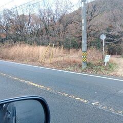 枯れ草、小木の除去