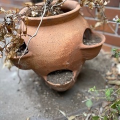 イチゴポット植木鉢の画像