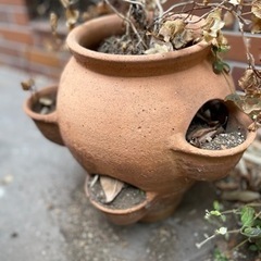 イチゴポット植木鉢の画像