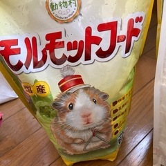 モルモットフード など