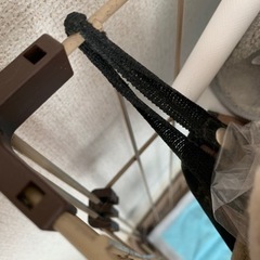 ケージ🐶家まで取りに来てくださる方🙏の画像