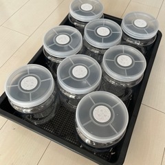 空クリアボトル　１５００ｍｌ×8本セット（穴あけ加工済、フィルタ...