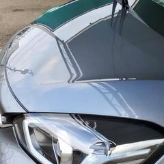 車 洗車 ワックス