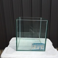 ガラスの水槽