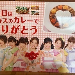 akb48 ハウス食品　パネル　ボード　レア