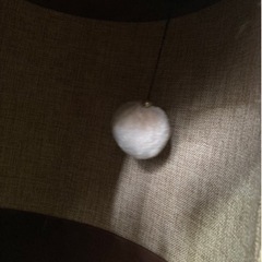 キャットタワー　カインズ限定の画像