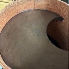 キャットタワー　カインズ限定の画像