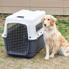 中型〜大型犬用 移動用ケージ ください