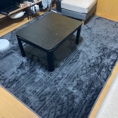 約3畳　黒　カーペット