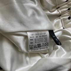 INGNIスカンツの画像