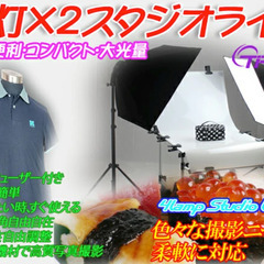 4灯×2 8灯スタジオライトキット　総消耗電力MAX200W×2...