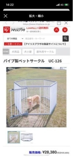 大型犬　サークル
