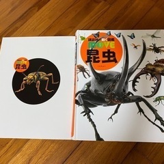 昆虫図鑑（DVD付の画像