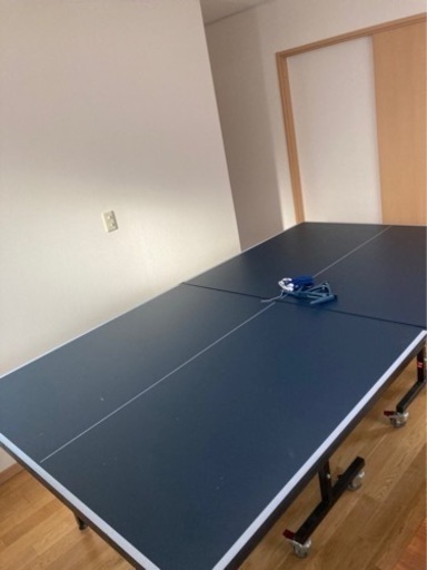 卓球台 国際規格サイズ