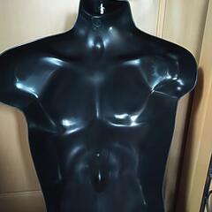 ハンガートルソー 上半身メンズの画像