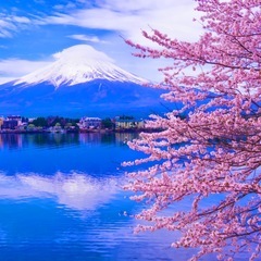 2023年にマスター ♪ かんたん にほんご On Line Easy and Fun JAPANESE FOR BEGINNERS の画像