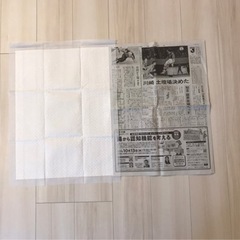 ペットシーツ　ワイド150枚